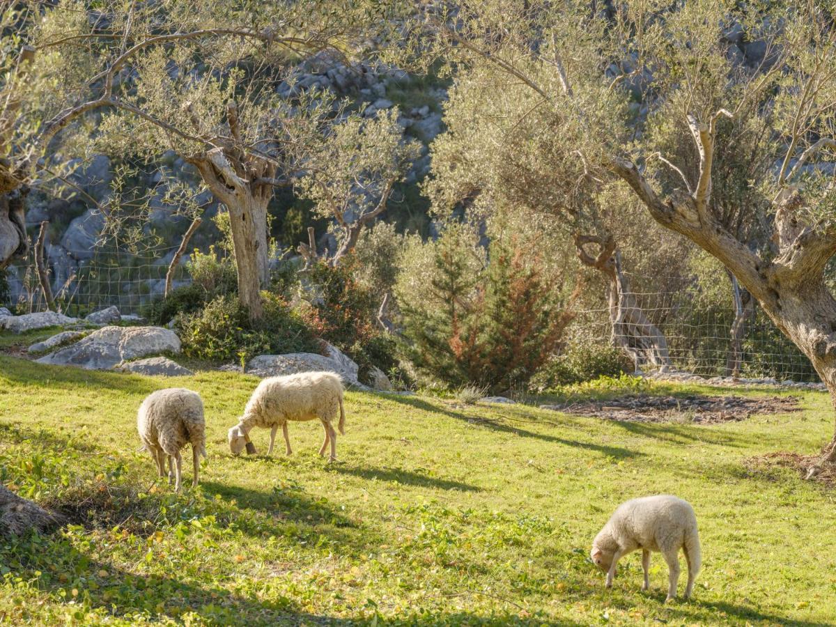 Agroturismo Muleta De Ca S'Hereu Port De Soller Luaran gambar